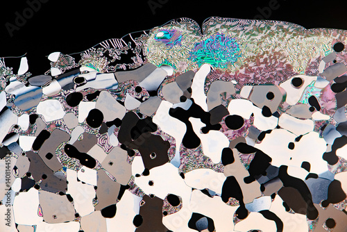 Liquid crystals observed under a microscope in vivid colors