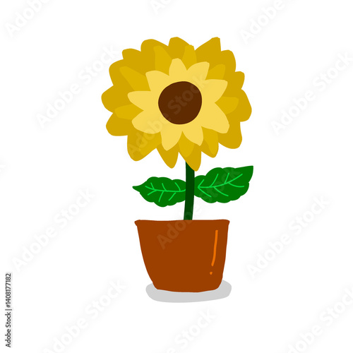 sunflower in a pot