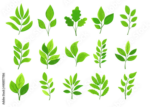 Realistic green leaves and branches on a white background. different types of lush foliage with veins for design, eco projects, cosmetic pakaging