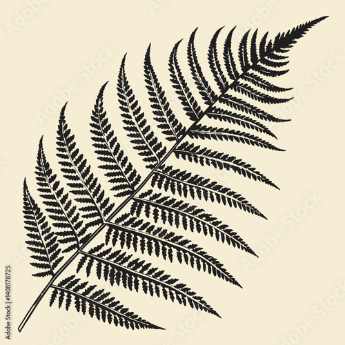 fern leaf on black