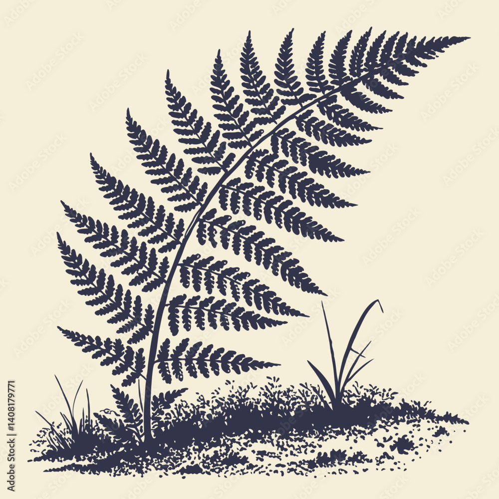 Naklejka premium fern leaf isolated on black vector