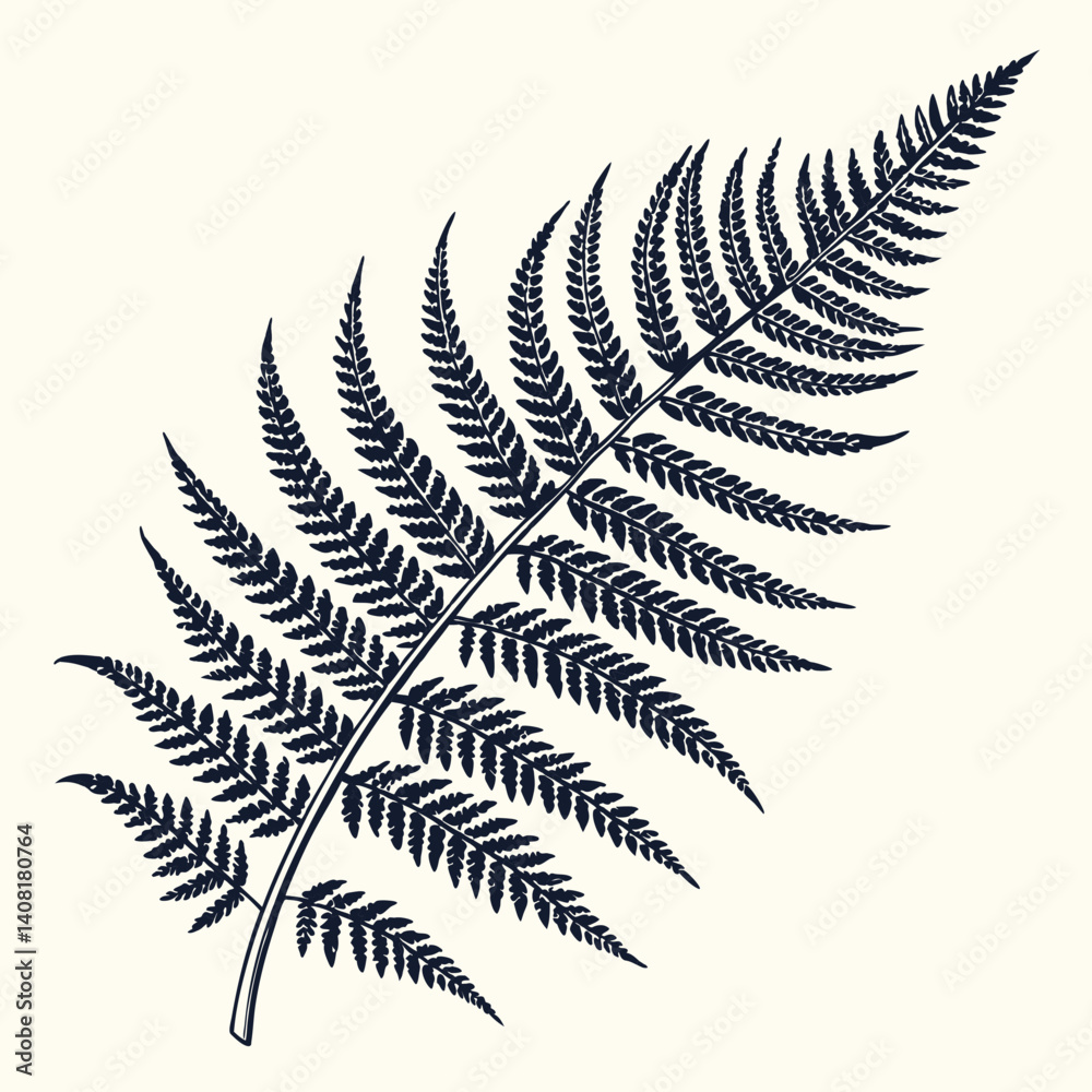 fern leaf isolated on black vector