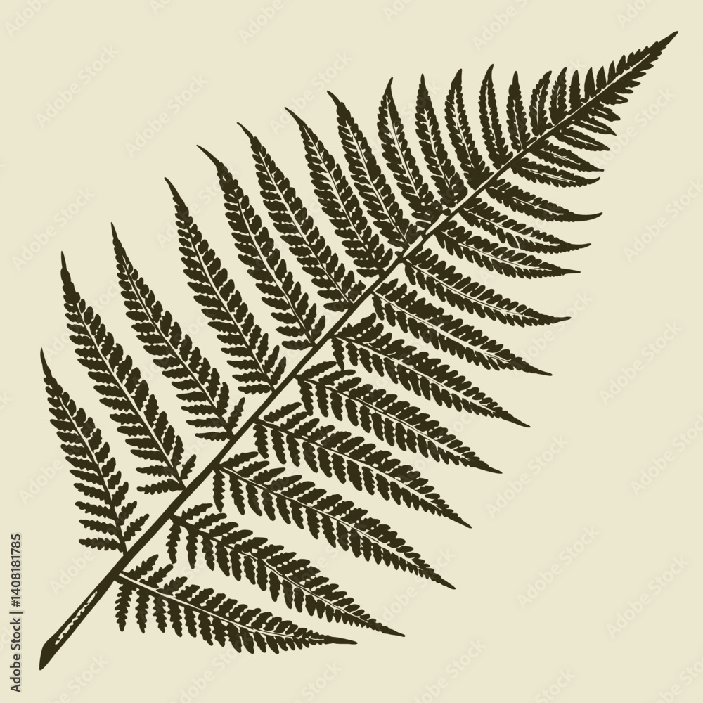 fern leaf isolated on black vector fern leaf isolated on black vector
