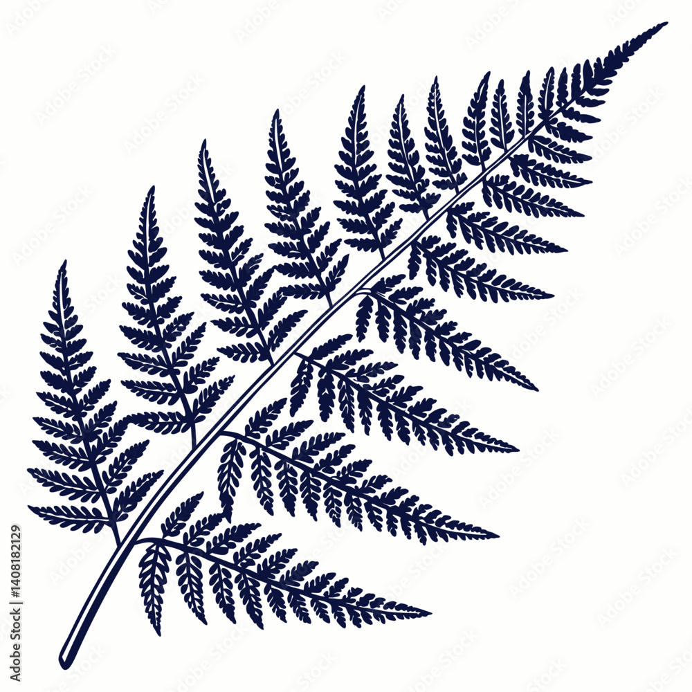 Obraz premium fern leaf isolated on black vector