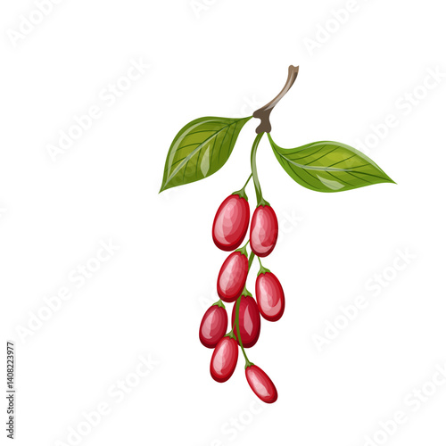 Dogwood branch