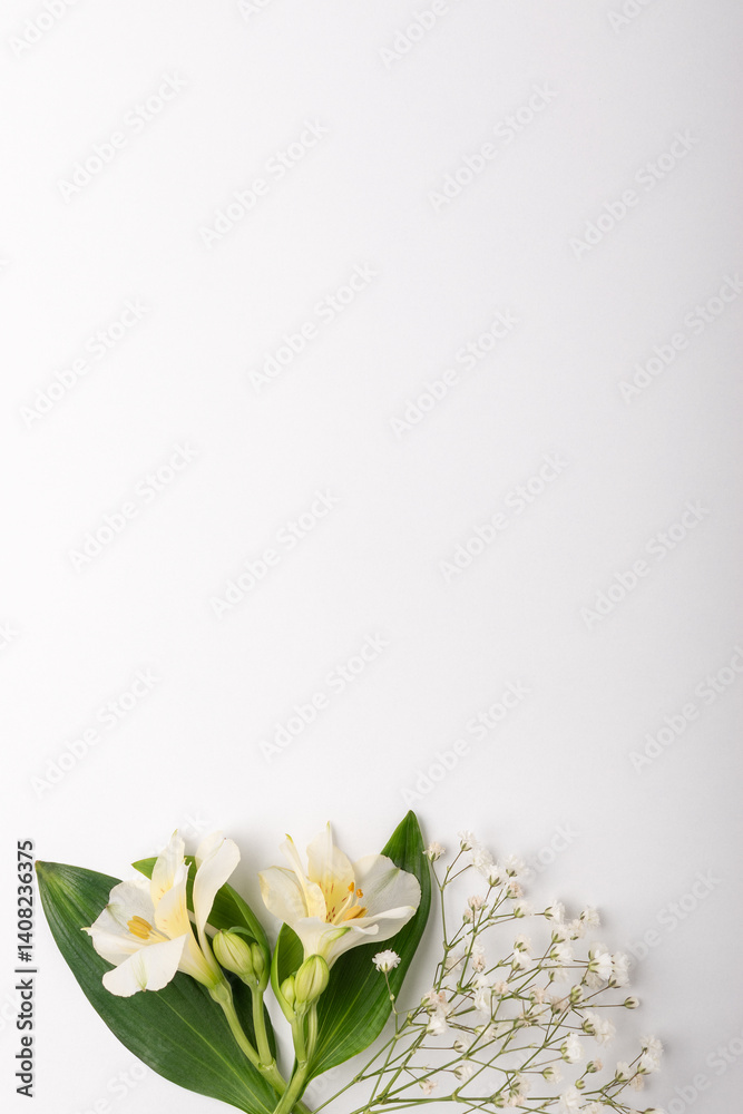 Fototapeta premium Spring mock up with flowers on white background. Minimal concept.