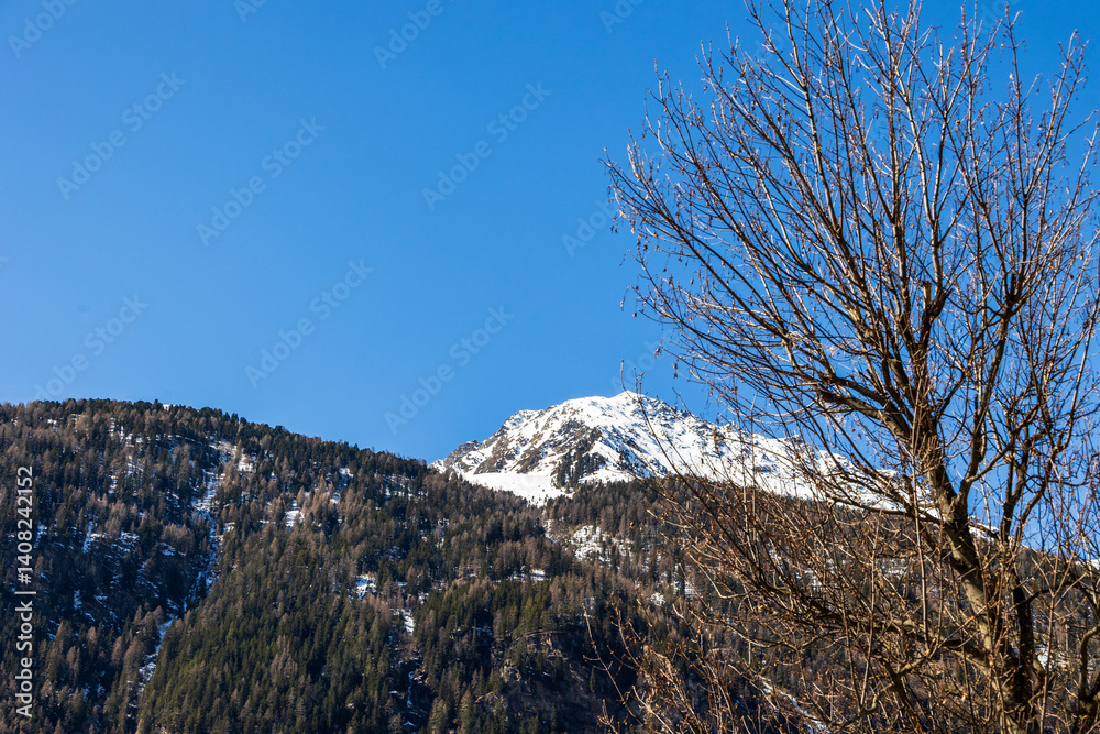 Snowy alpine peak and leafless tree under clear blue sky, Ötztal, Austria, 20 March 2025..