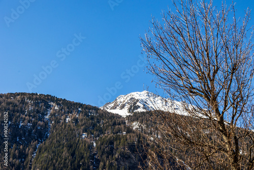 Obraz na płótnie Snowy alpine peak and leafless tree under clear blue sky, Ötztal, Austria, 20 March 2025.. w salonie