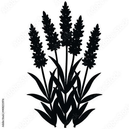 Isolated black and white floral vector pattern with natural leaves and herbal stems