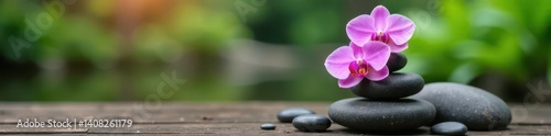 Pink orchid blossoms beside carefully balanced rock stack, soft light, peaceful, flower, delicate