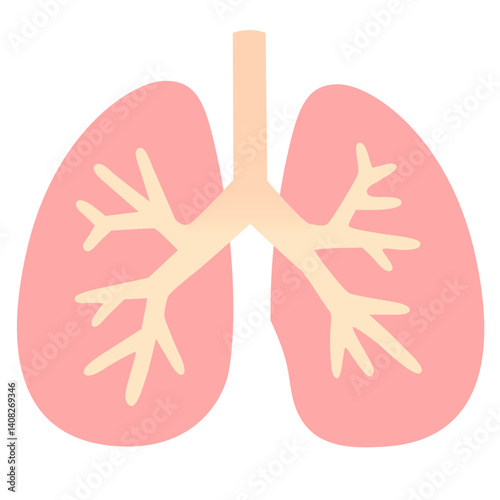 Lungs 

