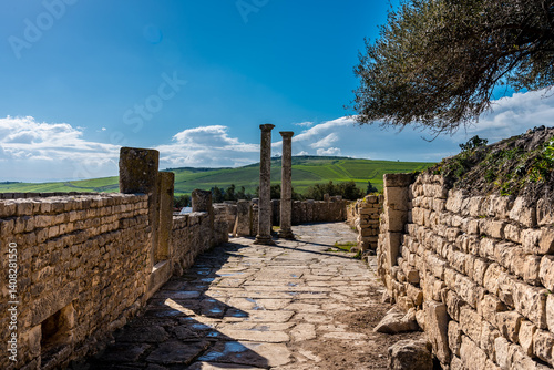 Obraz na płótnie Ruins of Roman temples in Dougga, Tunisia w salonie