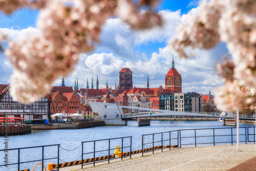 Obraz na płótnie Spring flowers blooming on the trees over the Motlawa river in Gdansk. Poland w salonie