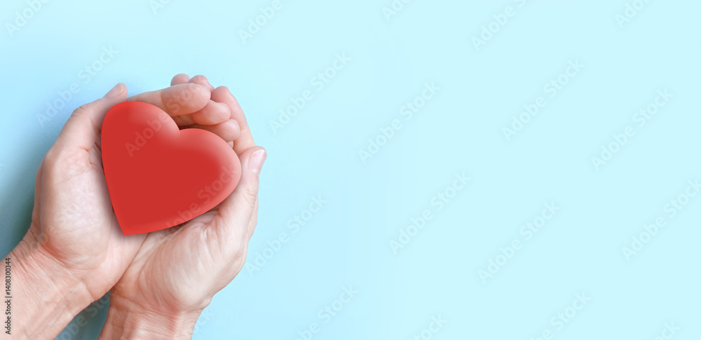 Fototapeta premium heart in hand