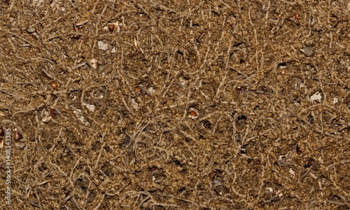 Картината върху платно Leaf litter from Chinese tallow tree Springtime nature hayfever allergies