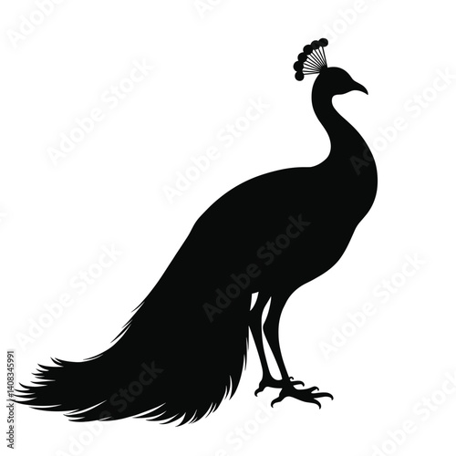 Silhouette of a Peacock in Elegant Posture  