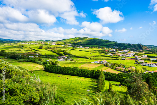 Obraz na płótnie Green farming fields at Almoxarife bay with azure ocean water on coast of Faial island, Azores, Portugal w salonie