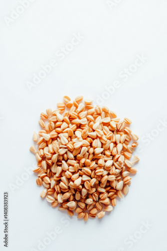 Pile of Light Brown Seeds on White Background