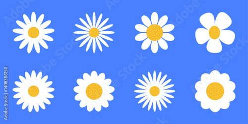 White daisy chamomile cute colorful flowers collection flower icon love card concept symbol yellow white floral set