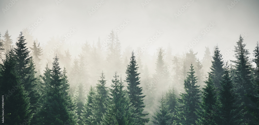 Misty mountain landscape with mysterious fir forest. Misty mountain landscape with mysterious fir forest.