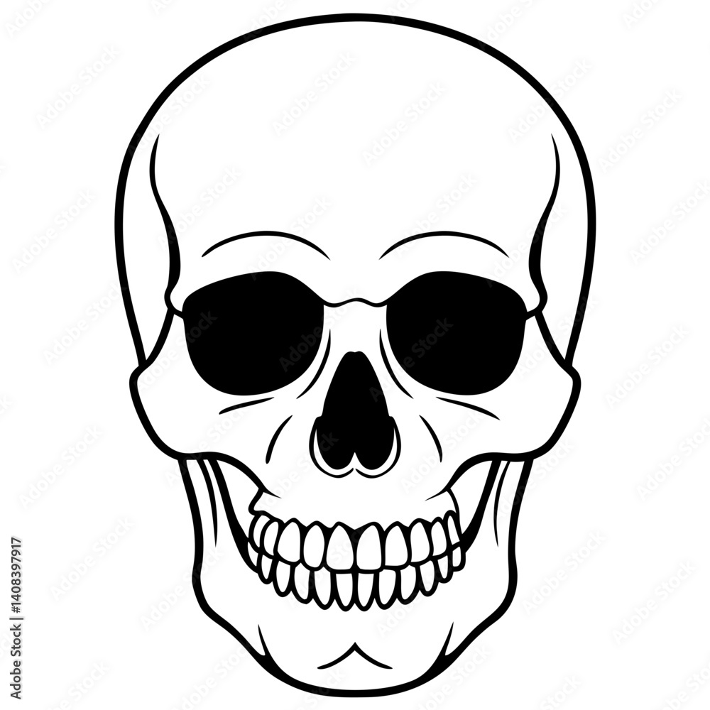 Fototapeta premium human skull
