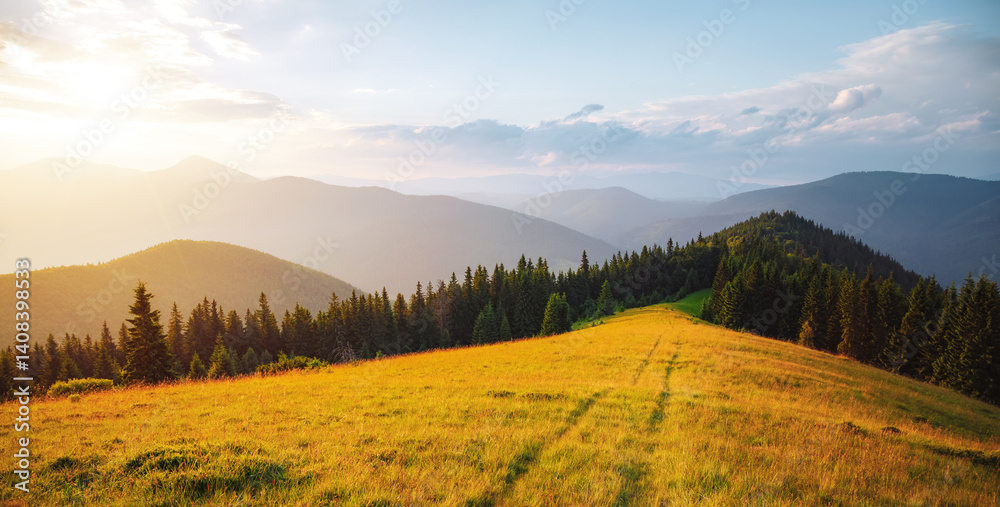 Obraz premium A gorgeous view of forested slopes and distant mountain ranges. Carpathian mountains, Ukraine.