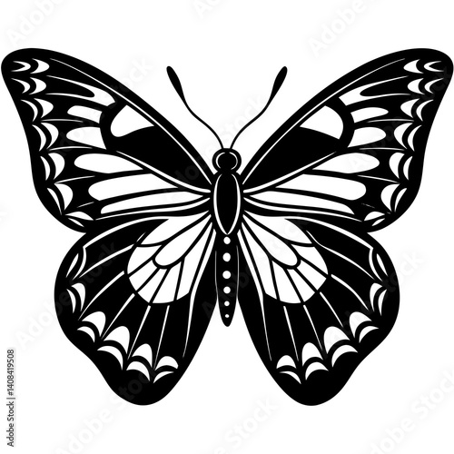 butterfly vector illustration  Vector icon illustration silhouette Graphics design image white background 