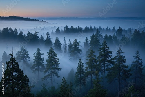 Twilight Mist Over Weathered Pines in Majestic Scenic Panorama photo
