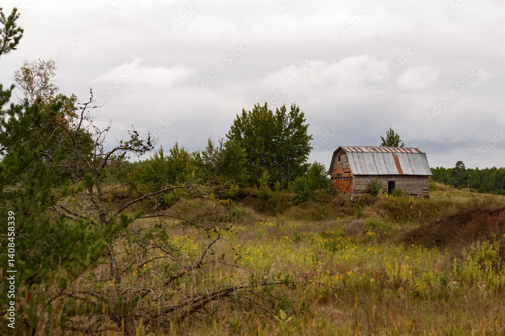 Keep Out Barn Dead Tree in Foreground