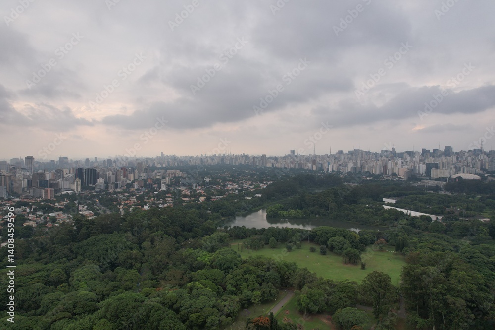 Spectacular view of Sao Paulo showcasing lush greenery and urban skyline Spectacular view of Sao Paulo showcasing lush greenery and urban skyline