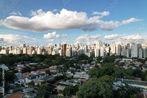 Skyline view of Sao Paulo showcasing urban landscape and green spaces