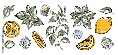 Refreshing summer vector clipart set with mint leaves, citrus slices, and ice cubes. Hand drawn juicy elements in green and yellow. Perfect for drinks, postcards, and cool food designs.