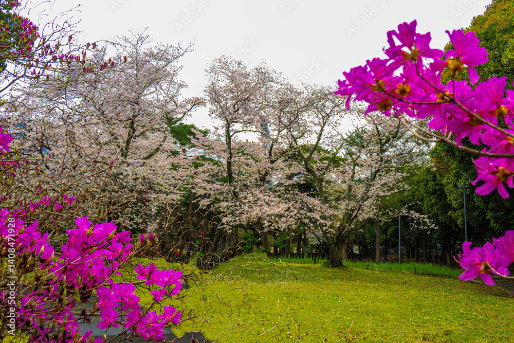 Obraz premium 別府公園