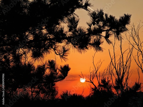 Beautiful view from EAST Europe - (Varna)Bulgaria