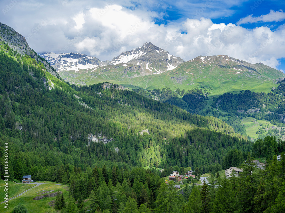 Naklejka premium A breathtaking alpine landscape featuring lush green valleys, dense pine forests, and snow-capped peaks under a vibrant blue sky. Nestled among the hills, a charming mountain village completes this id