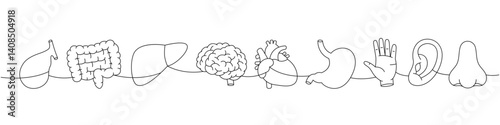 Set of human organ one line continuous drawing. Gallbladder, intestines, liver, brain, heart, stomach, hand, nose continuous one line illustration.