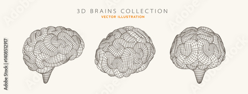 3D Wireframe Brain Collection Featuring Human Brain Models in Scientific and Futuristic Style. Perfect for Medical, AI, and Technology Themes. Vector Illustration.