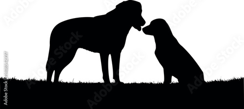 Cute dog posing on a white background. Friendly and loyal pet perfect for animal-related projects, pet care ads, veterinary services, dog training, companionship themes, and family lifestyle visuals.