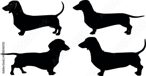 Cute dog posing on a white background. Friendly and loyal pet perfect for animal-related projects, pet care ads, veterinary services, dog training, companionship themes, and family lifestyle visuals.
