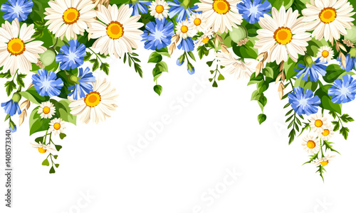 Floral background frame with white daisy flowers, blue chicory flowers, and ears of wheat. Vector floral border in country style with wild flowers