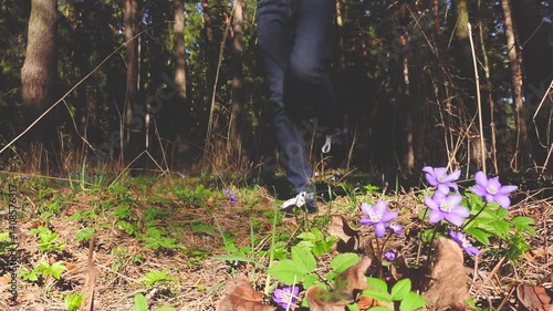 A man walking along forest path past beautiful forest purple flowers. Man walking towards camera. 4k slow motion video.