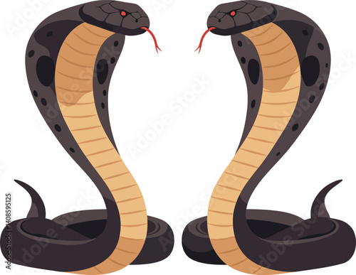 Two detailed cobras with hooded necks and striking features in flat vector art