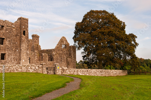 A castle with a large tree in front of it