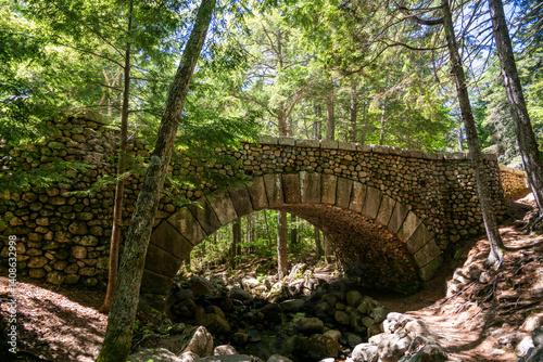 Obraz na płótnie Rocky Trail Passes Under The Cobblestone Bridge In Acadia w salonie