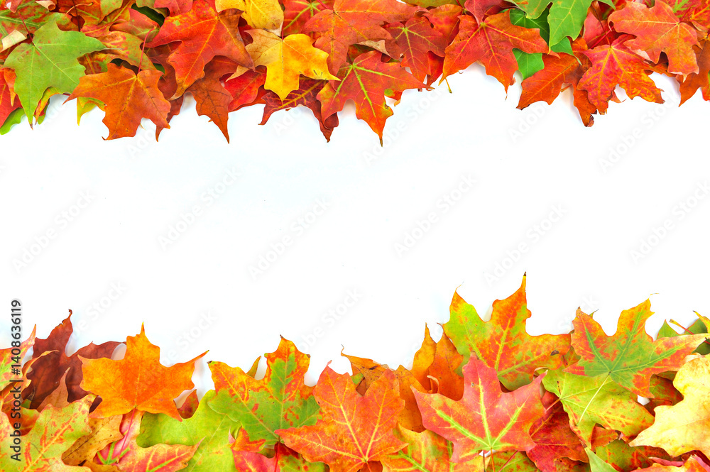Fototapeta premium autumn leaves frame with blank copy space