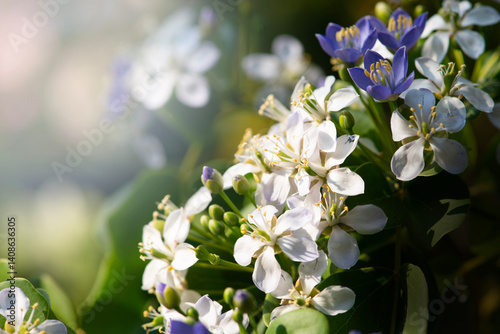 Flowers are blooming beautifully in the warm morning sunlight.