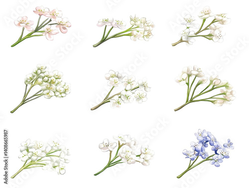 Wallpaper Mural Isolated Floral Arrangement on Transparent Background Photo Torontodigital.ca