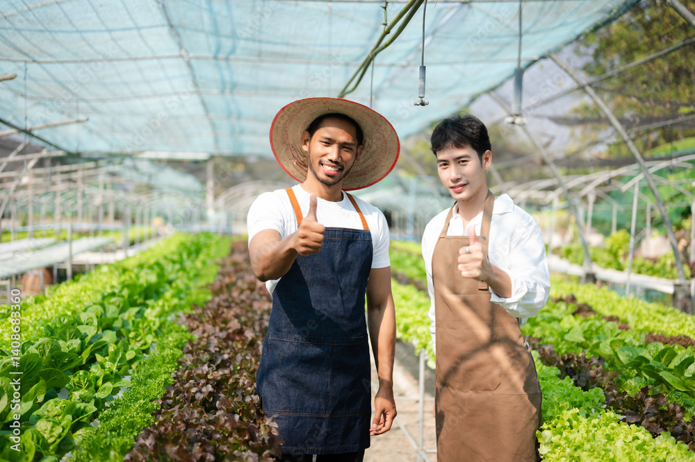custom made wallpaper toronto digitalAsian farmer using hand holding tablet and organic vegetables hydroponic in greenhouse plantation. male hydroponic salad vegetable garden owner working.