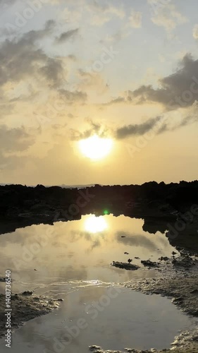 Morning light illuminates algae-covered rocks and reflective tide pools. Wispy clouds in pale sky complete this vibrant coastal sunrise scene.