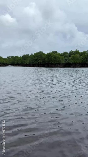 Intertwining mangrove roots in brown-gray water under lush green canopy. Overcast sky illuminates this impenetrable tropical wetland.